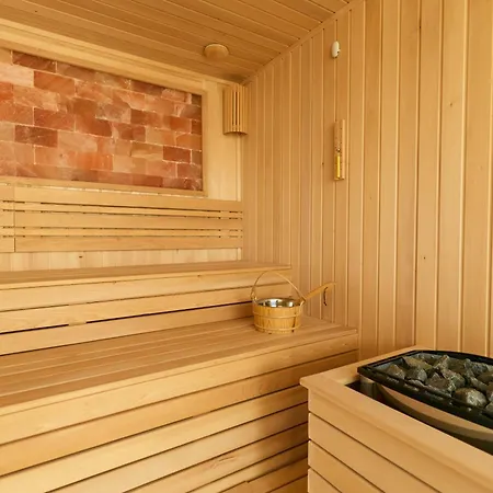 Villa And Wellness Pannonia Elemir