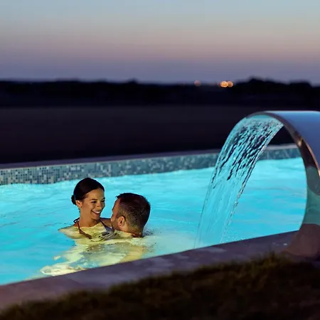 Villa And Wellness Pannonia Elemir