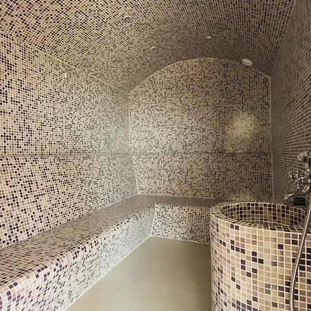 And Wellness Pannonia *